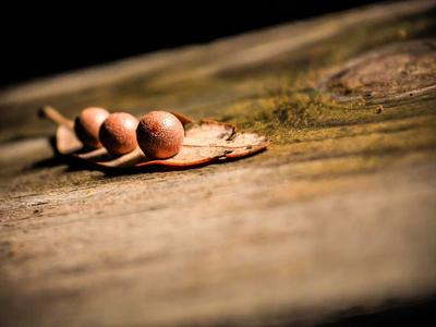Item 153